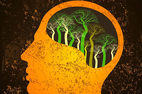 Salud Mental